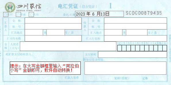 四川省农村信用社电汇凭证